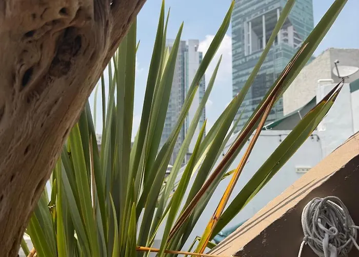Penthouse Economico Centro Historico Hasta 7 Personas * Mexico City